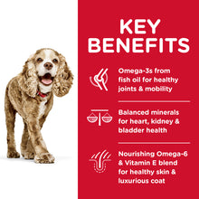 Load image into Gallery viewer, Hill's Dog Dry Food - 11+ Small Paws (2.04kg)