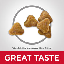 Load image into Gallery viewer, Hill's Cat Dry Food - 7+ Hairball Control (4kg)*