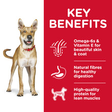 Load image into Gallery viewer, Hill's Dog Dry Food - Adult (3kg)