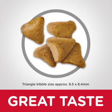 Load image into Gallery viewer, Hill's Cat Dry Food - Hairball Control (2kg)