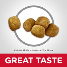 Load image into Gallery viewer, Hill's Cat Dry Food - Oral Care (2kg)