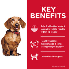 Load image into Gallery viewer, Hill's Dog Dry Food - Perfect Weight - Small & Mini (6.8kg)