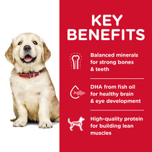 Load image into Gallery viewer, Hill's Dog Dry Food - Puppy - Large Breed (12kg)