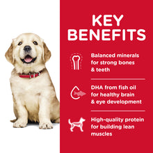 Load image into Gallery viewer, Hill's Dog Dry Food - Puppy - Large Breed (3kg)