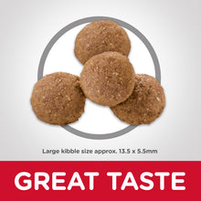 Load image into Gallery viewer, Hill's Dog Dry Food - Puppy - Large Breed (3kg)