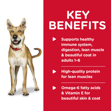 Load image into Gallery viewer, Hill's Dog Wet Food - Beef Entree (370g)