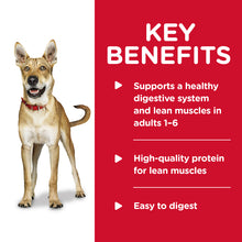 Load image into Gallery viewer, Hill's Dog Wet Food - Beef Stew (370g)