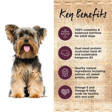 Load image into Gallery viewer, Ivory Coat Dog Dry Food - Lamb & Kangaroo (13kg)
