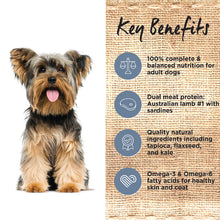 Load image into Gallery viewer, Ivory Coat Dog Dry Food - Lamb & Sardine (13kg)