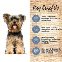 Load image into Gallery viewer, Ivory Coat Dog Dry Food - Lamb & Sardine (2kg)