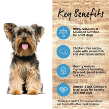 Load image into Gallery viewer, Ivory Coat Dog Dry Food - Ocean Fish & Salmon (2kg)