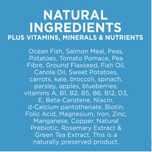 Load image into Gallery viewer, Ivory Coat Dog Dry Food - Ocean Fish & Salmon (2kg)