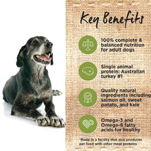 Load image into Gallery viewer, Ivory Coat Dog Dry Food - Mature - Turkey (13kg)