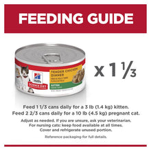 Load image into Gallery viewer, Hill's Cat Wet Food - Kitten - Chicken - Slab (24 x 156g)
