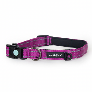 Huskimo Dog Collar - Aurora - Medium