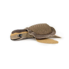 Load image into Gallery viewer, Dog Toy Snuggle Friends Turtle
