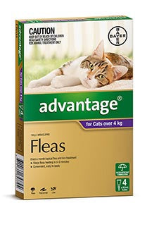 Advantage for Cats over 4 kg (4 pack)