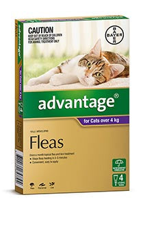 Advantage for Kittens & Small Cats up to 4 kg (6 pack)