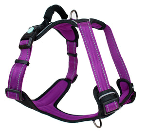 Huskimo Harness - Ultimate - Aurora - Extra Small