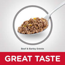 Load image into Gallery viewer, Hill&#39;s Dog Wet Food - Beef Entree (370g)
