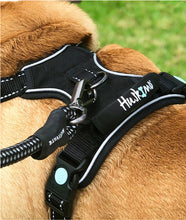 Load image into Gallery viewer, Huskimo Harness - Ultimate - Dark Sky - Large
