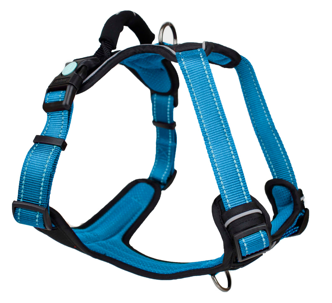 Huskimo Harness - Ultimate - Bells Beach - Extra Large