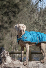 Load image into Gallery viewer, Huskimo Dog Coat - Odour Free Summit - Bells Beach (33cm)
