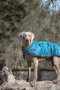 Huskimo Dog Coat - Odour Free Summit - Bells Beach (33cm)