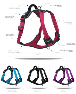 Huskimo Harness - Ultimate - Bells Beach - Extra Large