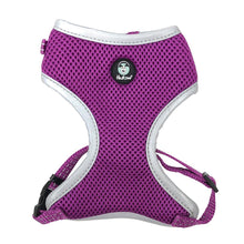 Load image into Gallery viewer, Huskimo Harness - Easyfit - Aurora - Small
